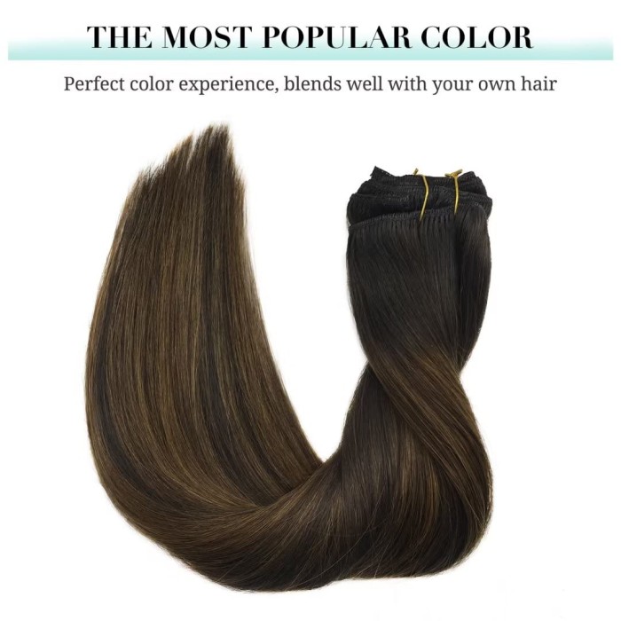 Chestnut Brown Clip in Hair Extensions Human Hair Extensions