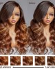 Limited Design  Amanda Honey Brown Highlight 13x4 Frontal Lace Side Part Long Wig 100% Human Hair
