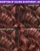 Reddish Brown Water Wave 4x4 Closure Lace Glueless C Part Short Wig 100% Human Hair  Summer Trendy