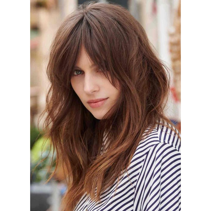 Chestnut Brown Human Hair Basic Wigs With Bangs