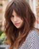 Chestnut Brown Human Hair Basic Wigs With Bangs
