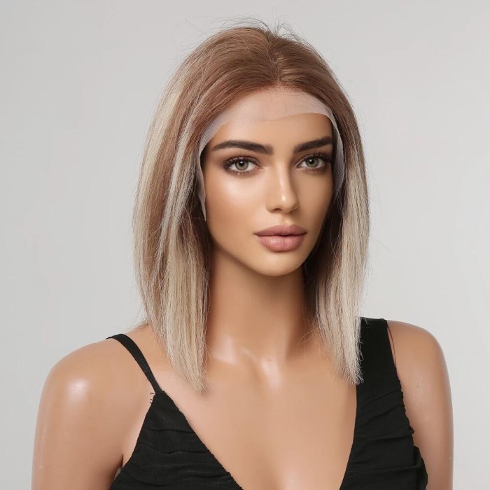 Affordable Brown Human Hair Wig With Blonde Highlights