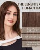 13x4 HD Lace Front Wigs Human Hair Nature Bob Glueless Lace Frontal Wig