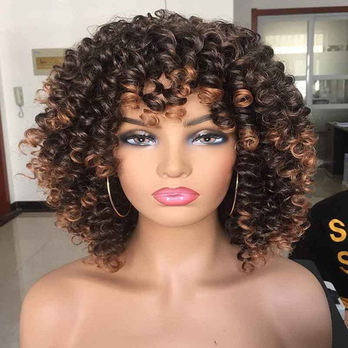 Big Bouncy Fluffy Kinky Curly Wig for Black Women with Bangs