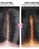 5x5 Lace Closure Wig Glueless Closure Wig Realistic Wigs Human Hair